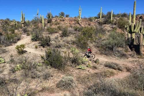 Arizona Trail Mountain Bike Rides