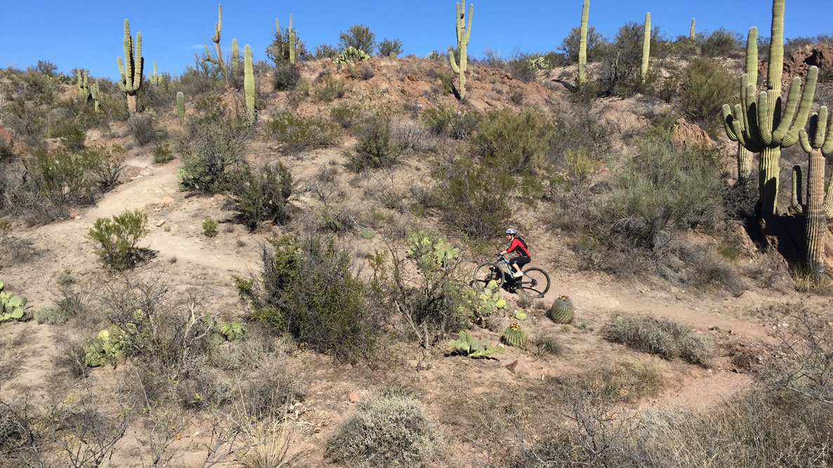 Arizona Trail Mountain Bike Ride